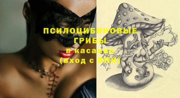 ECSTASY Няндома